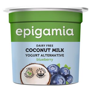 ep-coconut-milk-with-blueberry-90gm