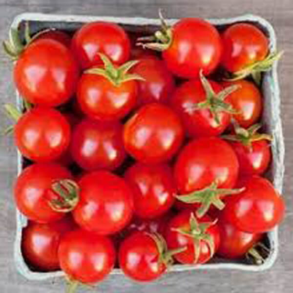 v-cherry-tomato-200gm-pack