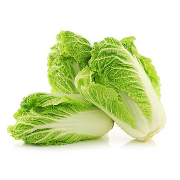 500 FRESH CHINESE CABBAGE SEEDS 