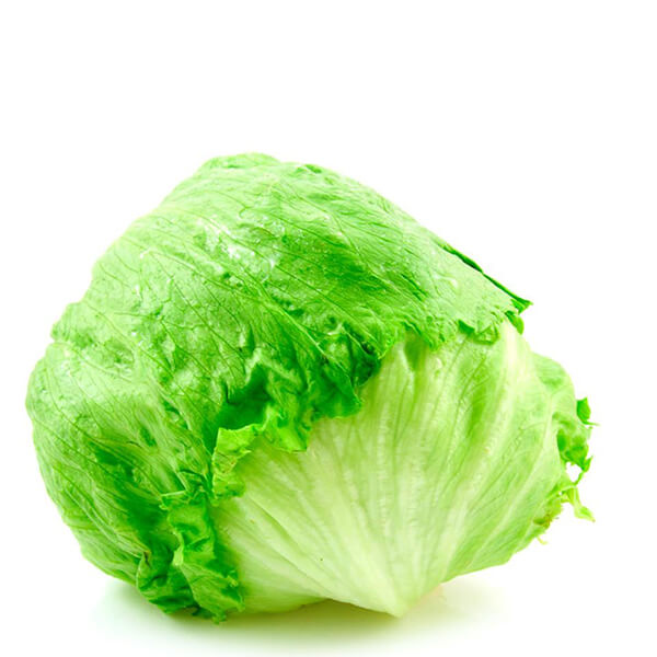 v-lettuce-500gms